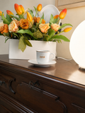 Tazzina vintage DECO' con piattino - Richard Ginori